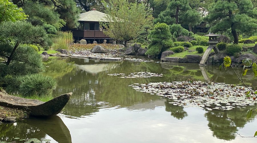 🏞️ 카와조코 연못 이미지 3